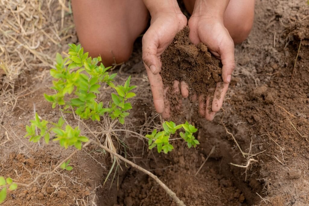 whatsapp image 2025 11 20 at 10.57.42