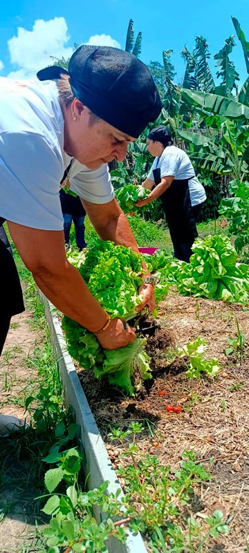 whatsapp image 2025 11 25 at 14